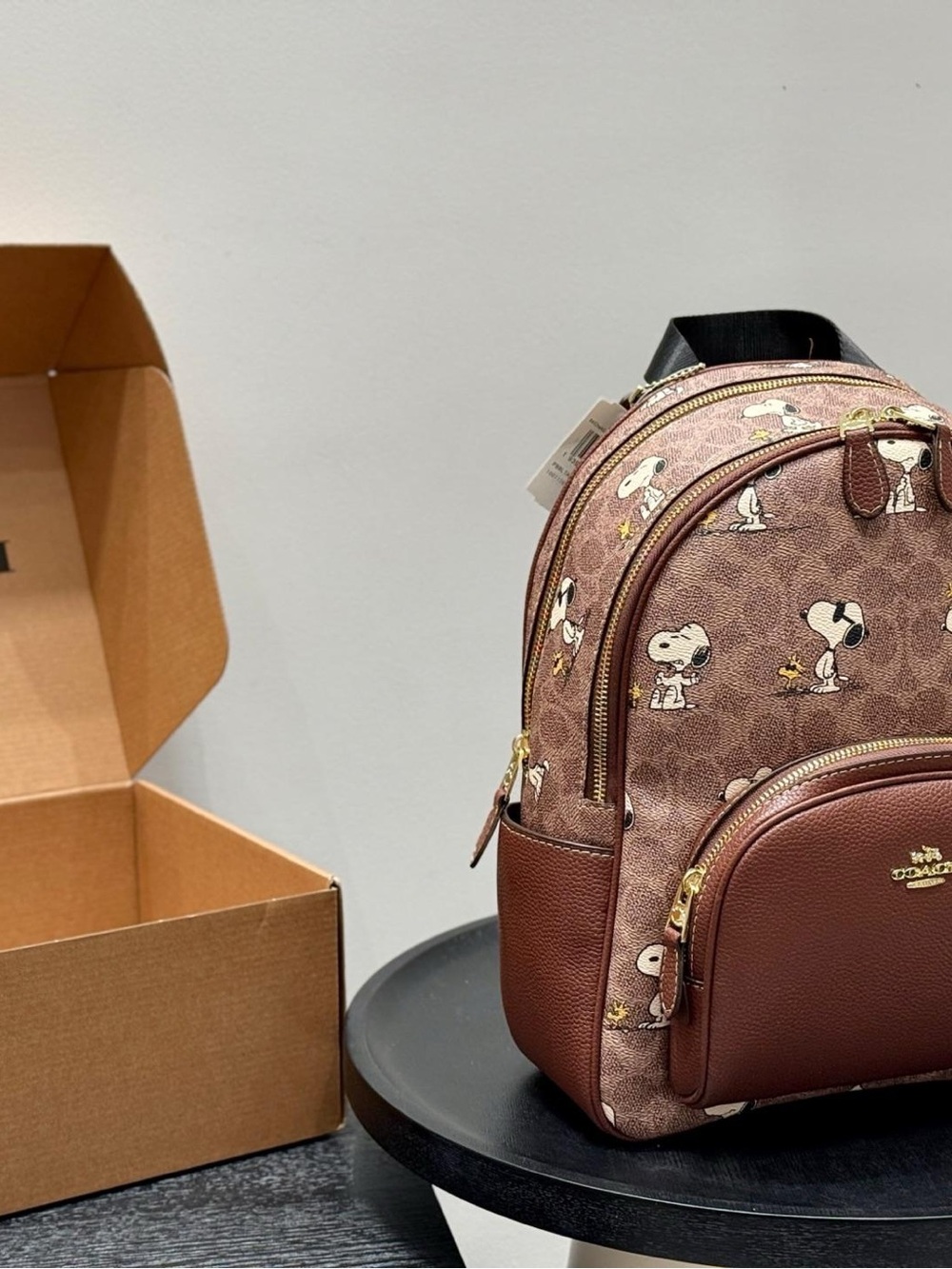 Coach Brown Snoopy Pattern Backpack